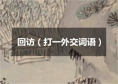 回访（打一外交词语）