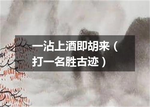 一沾上酒即胡来（打一名胜古迹）