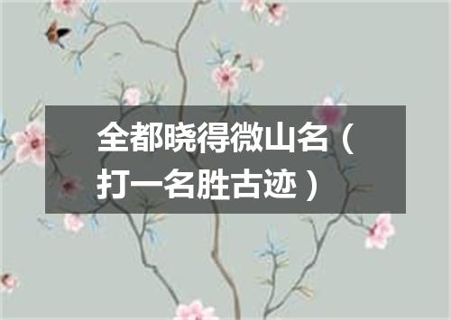 全都晓得微山名（打一名胜古迹）