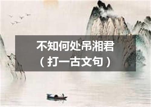 不知何处吊湘君（打一古文句）