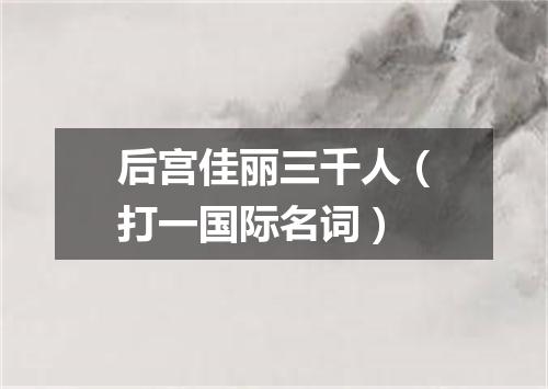 后宫佳丽三千人（打一国际名词）