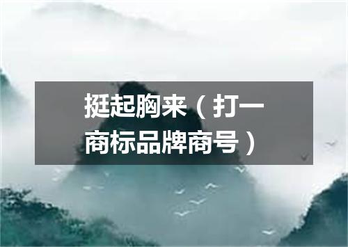 挺起胸来（打一商标品牌商号）
