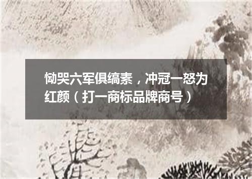 恸哭六军俱缟素，冲冠一怒为红颜（打一商标品牌商号）