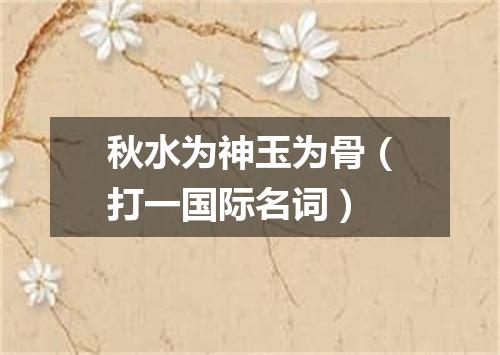 秋水为神玉为骨（打一国际名词）