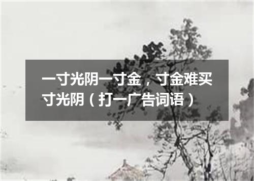 一寸光阴一寸金，寸金难买寸光阴（打一广告词语）