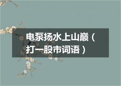 电泵扬水上山巅（打一股市词语）