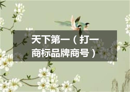 天下第一（打一商标品牌商号）