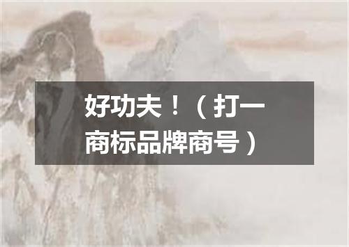 好功夫！（打一商标品牌商号）