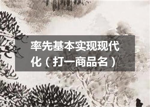 率先基本实现现代化（打一商品名）