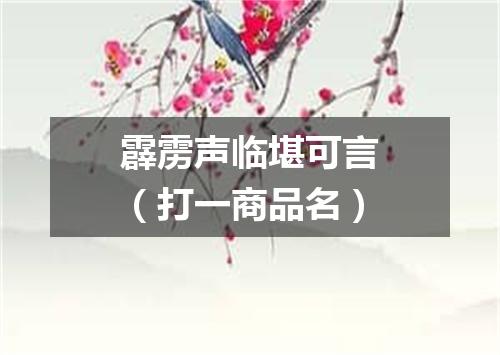 霹雳声临堪可言（打一商品名）