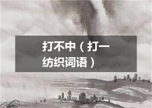 打不中（打一纺织词语）