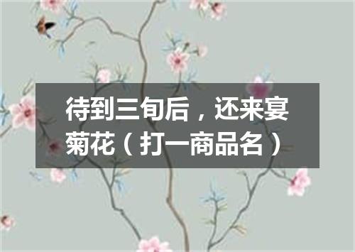 待到三旬后，还来宴菊花（打一商品名）