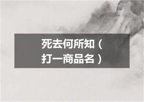 死去何所知（打一商品名）
