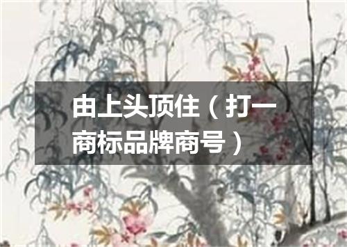 由上头顶住（打一商标品牌商号）