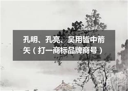 孔明、孔亮、吴用皆中箭矢（打一商标品牌商号）