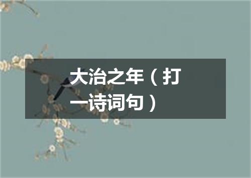 大治之年（打一诗词句）