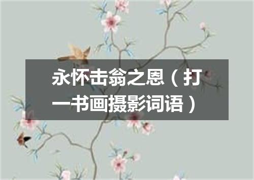 永怀击翁之恩（打一书画摄影词语）