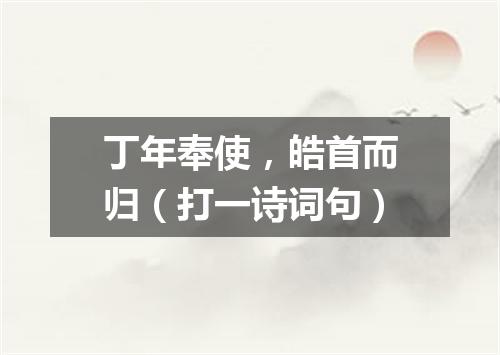 丁年奉使，皓首而归（打一诗词句）