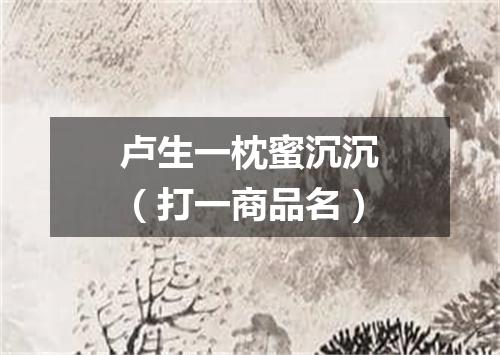 卢生一枕蜜沉沉（打一商品名）