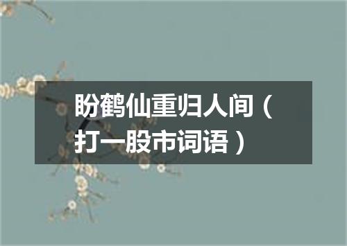 盼鹤仙重归人间（打一股市词语）