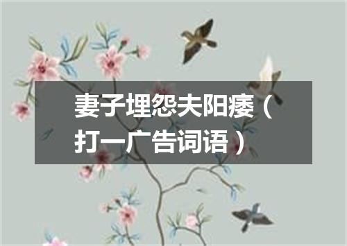 妻子埋怨夫阳痿（打一广告词语）