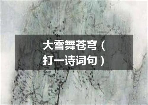 大雪舞苍穹（打一诗词句）