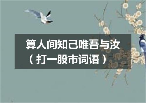 算人间知己唯吾与汝（打一股市词语）
