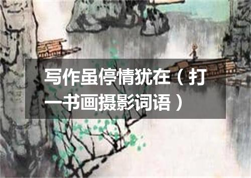 写作虽停情犹在（打一书画摄影词语）