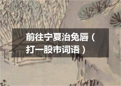 前往宁夏治兔唇（打一股市词语）
