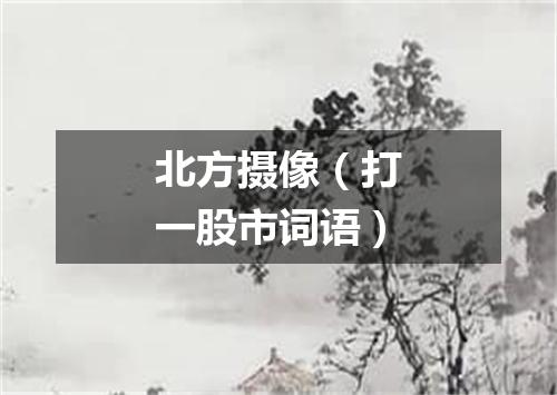 北方摄像（打一股市词语）