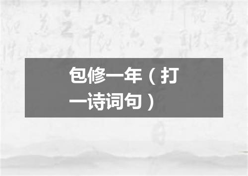 包修一年（打一诗词句）