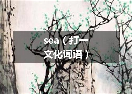 sea（打一文化词语）