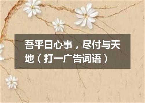 吾平日心事，尽付与天地（打一广告词语）