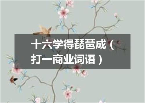 十六学得琵琶成（打一商业词语）