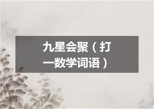 九星会聚（打一数学词语）
