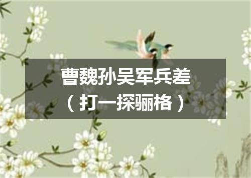 曹魏孙吴军兵差（打一探骊格）