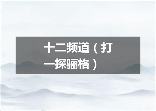 十二频道（打一探骊格）
