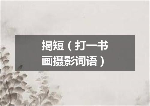 揭短（打一书画摄影词语）