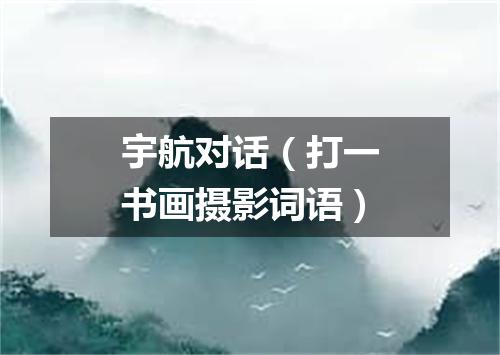 宇航对话（打一书画摄影词语）