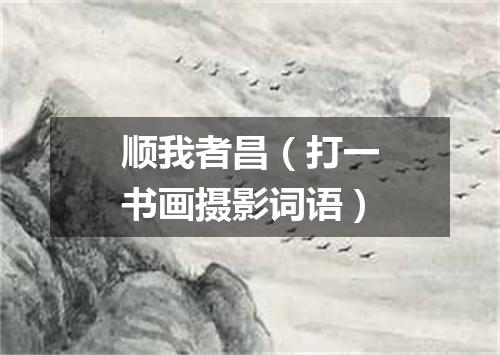 顺我者昌（打一书画摄影词语）