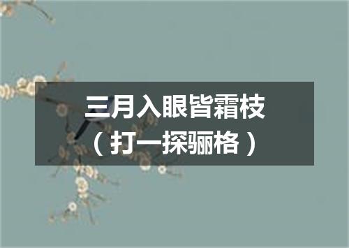 三月入眼皆霜枝（打一探骊格）
