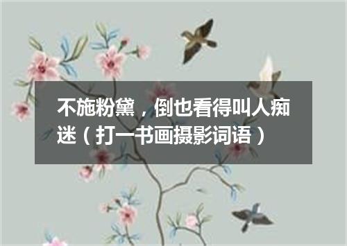 不施粉黛，倒也看得叫人痴迷（打一书画摄影词语）