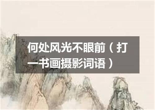 何处风光不眼前（打一书画摄影词语）