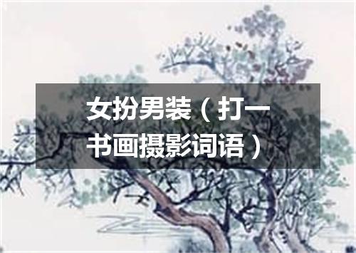 女扮男装（打一书画摄影词语）