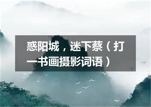 惑阳城，迷下蔡（打一书画摄影词语）