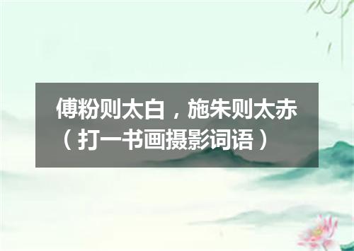 傅粉则太白，施朱则太赤（打一书画摄影词语）