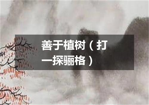 善于植树（打一探骊格）