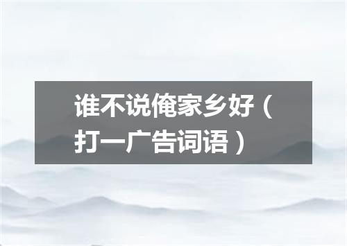 谁不说俺家乡好（打一广告词语）