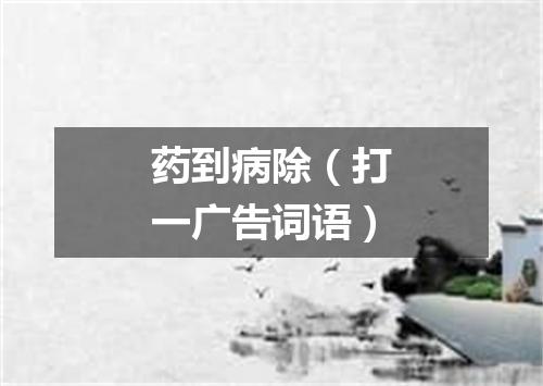 药到病除（打一广告词语）
