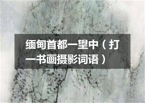 缅甸首都一望中（打一书画摄影词语）
